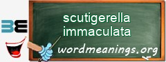 WordMeaning blackboard for scutigerella immaculata